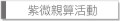 紫微親算活動